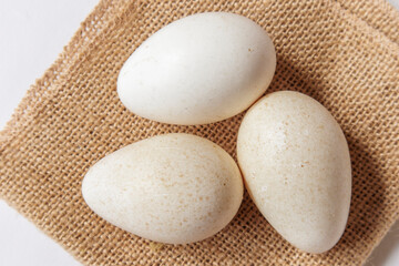 Fresh Turkey Eggs on a white background Large speckled eggs