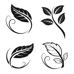 Decorative Leaf and Swirl Motifs leaves nature