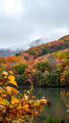 Obraz premium Autumn landscape, blurred foliage, serene scene