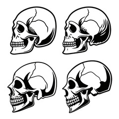 Four Side Profile Skull Illustrations in Black and White