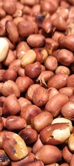 Roasted peanuts as a food ingredient
