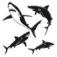 Four Shark Illustrations with Detailed Features sharks