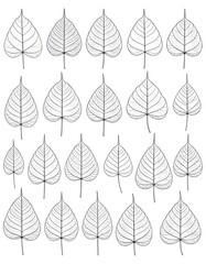 Fototapeta premium Beautiful Botanical Leaf Patterns.