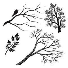 Silhouette Tree Branches and Bird Illustration leaf
