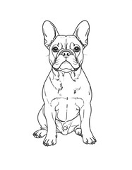 Obraz premium French Bulldog Coloring Page.
