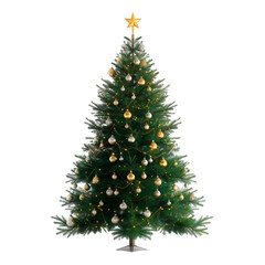 Fototapeta premium christmas tree isolated