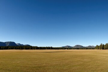 Vast, golden meadow stretches to distant mountains under a clear blue sky