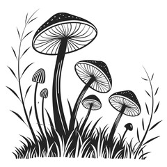 Tall Mushrooms and Grass Silhouette with Thin Stems