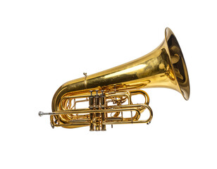 Fototapeta premium Tuba and Trumpet Duo in Golden Finish 