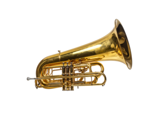 Tuba and Trumpet Duo in Golden Finish 