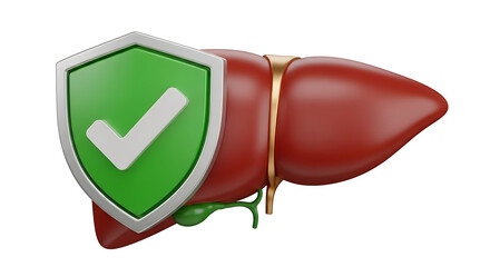 3d illustration of a healthy human liver protected by a green shield with a white checkmark symbol