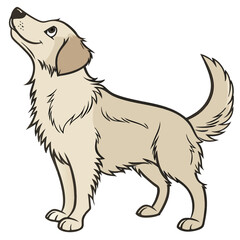 Cartoon Golden Retriever Dog Looking Up puppy canine