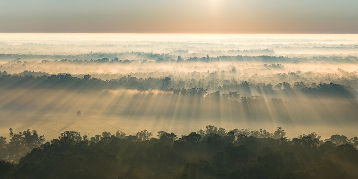 Aerial panorama of rays of sunshine through fog over gumtrees at Moama in New South Wales