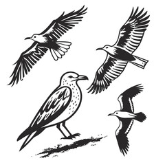 Seagulls in Flight and Perched Black and White Silhouettes Keywords: birds, seagulls, flight
