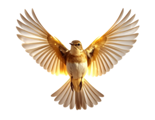 Artistic Nightingale in Surreal Glow PNG