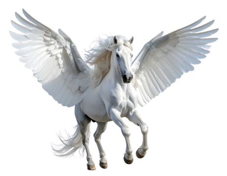  Majestic Pegasus in Mid-Flight PNG