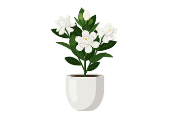 Elegant white Gardenia jasminoides plant with lush green foliage in a modern pot.