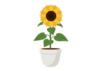 Obraz premium Potted Sunflower with Yellow Petals and Green Leaves Illustration.
