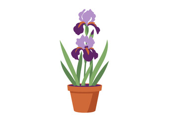 Stylized Iris Plant in a Terracotta Pot with Purple and Green Leaves.