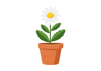 Stylized white daisy flower with green leaves blooming in a simple terracotta pot.