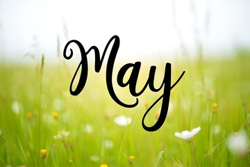 Beautiful may handwritten text over a soft focus green meadow with wildflowers