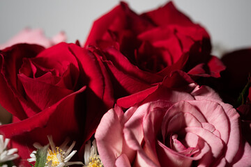 美しい薔薇の花束