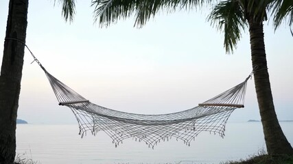 Hammock hanging between palm trees on tropical beach with ocean view offering peaceful relaxation and tranquil vacation escape at dusk.
