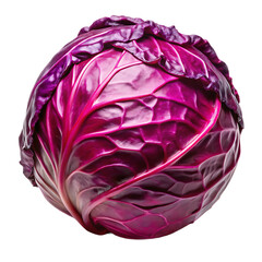 Obraz premium Single Red Cabbage Isolated on White Background vegetable isolated on a transparent background