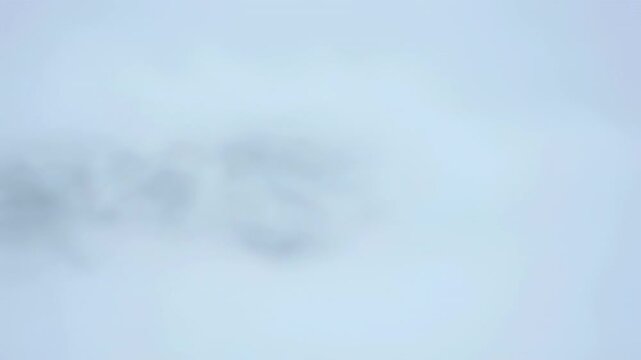 A heavy blizzard of snow fiercely blowing and swirling across a solid green screen for intense weather effects particle, stormy, backdrop