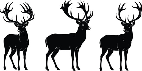 Deer silhouette, antler wildlife, majestic buck illustration, black animal icon, forest creature, hunting symbol, nature art, vector graphic © Nupoor's World