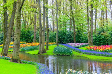 Scenic view of Keukenhof tulip garden in Lisse, Netherlands. Keukenhof is the most beautiful spring garden in the world. Beautiful ornamental garden landscape at Lisse, Netherlands © olyasolod