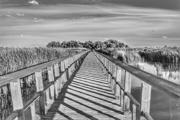 Pasarela de madera en la naturaleza, blanco y negro. Parque Nacional de las Tablas de Daimiel. Ciudad Real. Espa&ntilde;a.