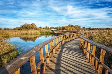 Fototapeta premium Pasarela de madera en la naturaleza. Parque Nacional Tablas de Daimiel. Ciudad Real. España.