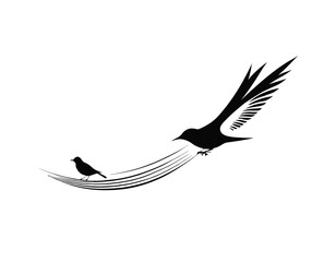 Bird Silhouette logo with white backgroun