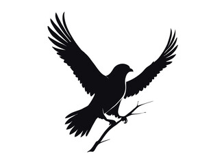 Obraz premium Bird Silhouette logo with white backgroun