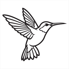 Line art hummingbird in flight detailed drawing for nature lovers and artists silhouette