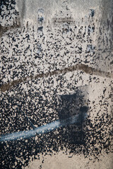 Foamy waves create intricate patterns on wet sand as twilight sets in, highlighting natural beauty
