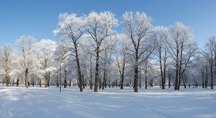 Fototapeta premium Snowy forest landscape