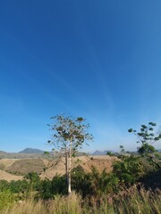 Obraz premium Blue sky and landscape 