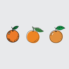 vector illustration of an orange