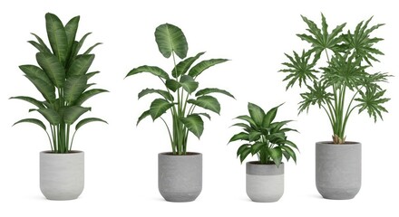 Fototapeta premium Realistic Rendered Indoor Plant Assortment in Gray Concrete Pots Still Life