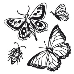 Black and white insect silhouettes butterfly moth