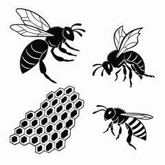 Black honey bees and honeycomb pattern insect hive