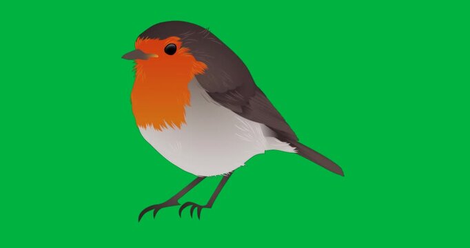 Vector design showing stylized bird standing on transparent background, featuring color gradients