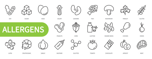 Allergens food icon set. Soy, sugar, eggs, celery, fish, meat, onion, gluten, lactose, sesame seeds, chicken, lupin, crustaceans, mustard, sulfites, tomato, etc. Vector illustration. Editable stroke. 