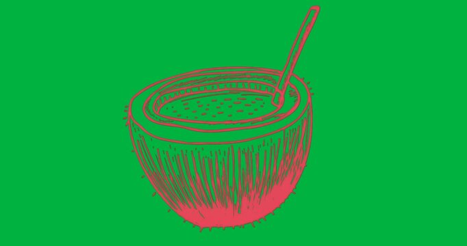 Halved coconut shell spinning over transparent background showing red sketch for package design