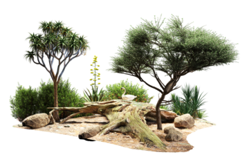 Trees rocks desert vegetation and a white swan sculpture.