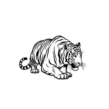 Tigers clip art preview