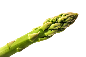 Single Green Asparagus Spear Tip with Buds on Background vegetable food isolated on a transparent background