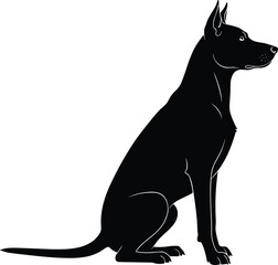 Silhouette of sitting dog with pointed ears and long tail, isolated on white background for pet, logo, design, and artwork use.